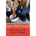 Rabbits In Colonies: Grayscale