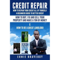 Credit Repair How to Repair Your Credit All by Yourself a Beginners Guide to Better Credit How to Buy Fix and Sell Your Property and Make a Ton of Mon