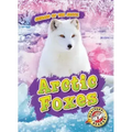 Arctic Foxes