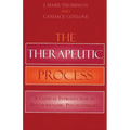 Therapeutic Process: A Clinical Introduction to Psychodynamic Psychotherapy
