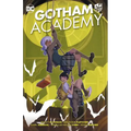 Gotham Academy: Tr - Trade Paperback