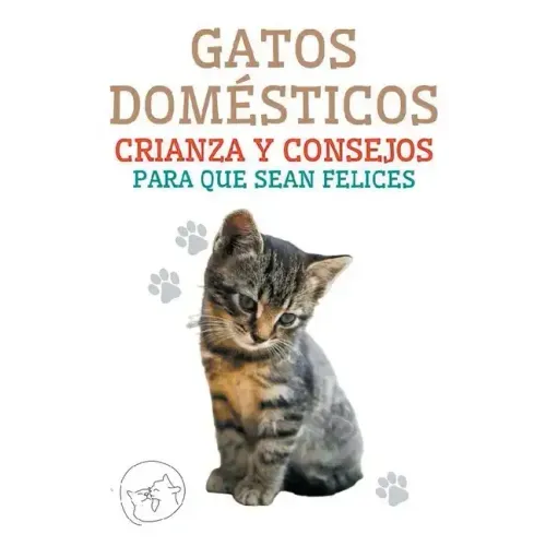 Gatos Domésticos Crianza y Consejos Para que Sean Felices