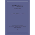 CP Violation