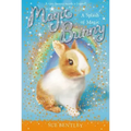 A Splash of Magic #3