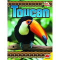 Toucan