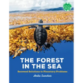 The Forest in the Sea: Seaweed Solutions to Planetary Problems