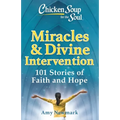 Chicken Soup for the Soul: Miracles & Divine Intervention: 101 Stories of Faith and Hope
