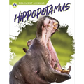 Hippopotamus