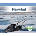 Narwhal