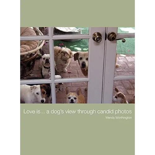 Love is...a dog's view through candid photos