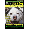 Catahoula Leopard Dog, Catahoula Leopard Dog Training Think Like a Dog, But Don't Eat Your Poop! Catahoula Leopard Dog Breed Expert Training: Here's E