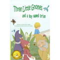 Three Little Gnomes and a Boy Named Orion: Adapted: Easy / Beginner Reader Verison for Kids