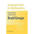 Braid Groups