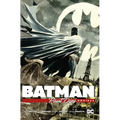 Batman by Paul Dini Omnibus