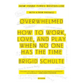 Overwhelmed: How to Work, Love, and Play When No One Has the Time