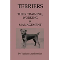 Terriers - Their Training, Work & Management