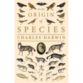 On the Origin of Species;Or; The Preservation of the Favoured Races in the Struggle for Life
