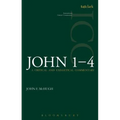 John 1-4 (ICC): A Critical and Exegetical Commentary