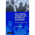 Afro Immigrants Politics Incorp
