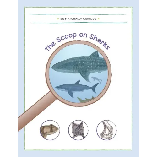 The Scoop on Sharks