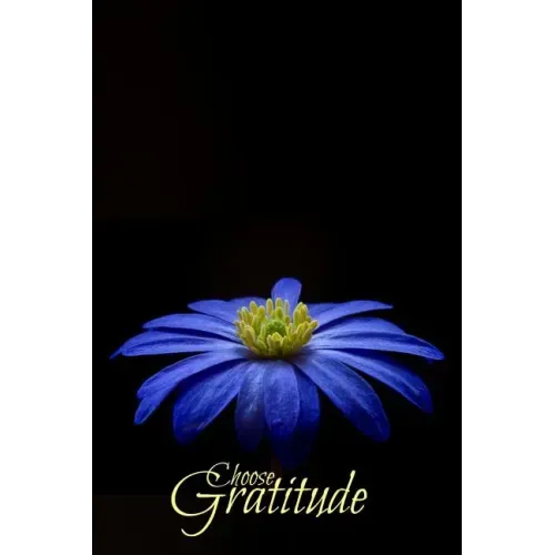 Choose Gratitude
