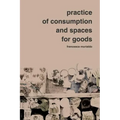 Practice of Consumption and Spaces for Goods