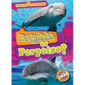 Dolphin or Porpoise?