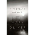 A Thousand Mornings