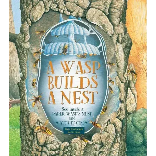 A Wasp Builds a Nest: See Inside a Paper Wasp's Nest and Watch It Grow