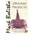Origami Projects: A collection of original origami designs