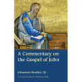 A Commentary on the Gospel of John