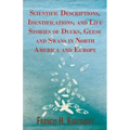 Scientific Descriptions, Identifications, and Life Stories of Ducks, Geese and Swans in North America and Europe