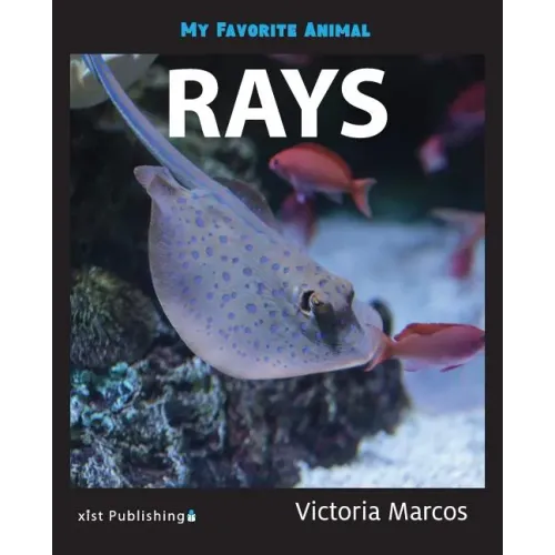 My Favorite Animal: Rays