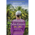 The Promise of Palm Grove: Amish Brides of Pinecraft, Book One