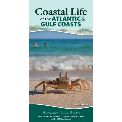 Coastal Life of the Atlantic and Gulf Coasts: Easily Identify Seashells, Beachcombing Finds, and Iconic Animals