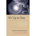 It's Up to You: The Practice of Self-Reflection on the Buddhist Path