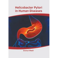 Helicobacter Pylori in Human Diseases