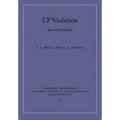 Cp Violation
