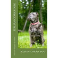 italian corso dog: italian corso dog