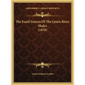 The Fossil Insects of the Green River Shales (1878)