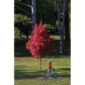 105 Meadowlark Reader: Bicycle Stories