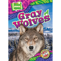 Gray Wolves