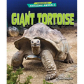 Giant Tortoise