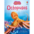 Beginners Octopuses
