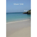 Silver Still