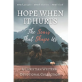 Hope When it Hurts: The Scars that Shape Us: A Christian Writers' Collection (LARGE PRINT EDITION)
