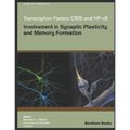 Transcription Factors CREB and NF-KB: Involvement in Synaptic Plasticity and Memory Formation