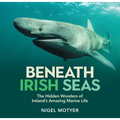 Beneath Irish Seas: The Hidden Wonders of Ireland's Amazing Marine Life