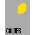 Alexander Calder: From the Stony River to the Sky