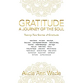Gratitude: a Journey of the Soul: Twenty-Two Stories of Gratitude